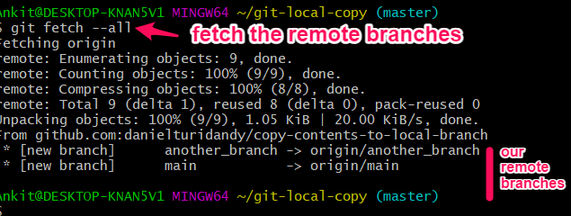 Fetch Remote Branches